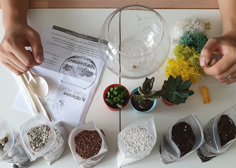 A table with terrarium supplies, including a glass bowl, succulents, moss, and bags of various types of soil and gravel.