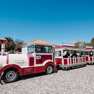 Tours de un día y Excursiones