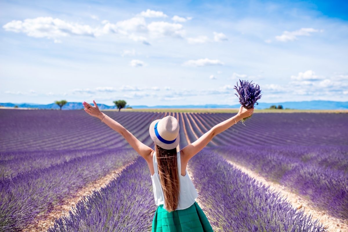 Valensole Lavender Fields: Guided Day Tour from Aix-en-Provence