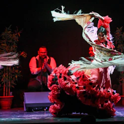 Barcelona City Hall Theater: Flamenco Show in destination
