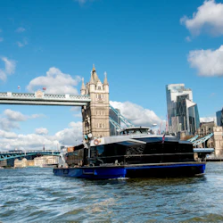 London: 24-Hour Hop-on Hop-off City Cruise 4