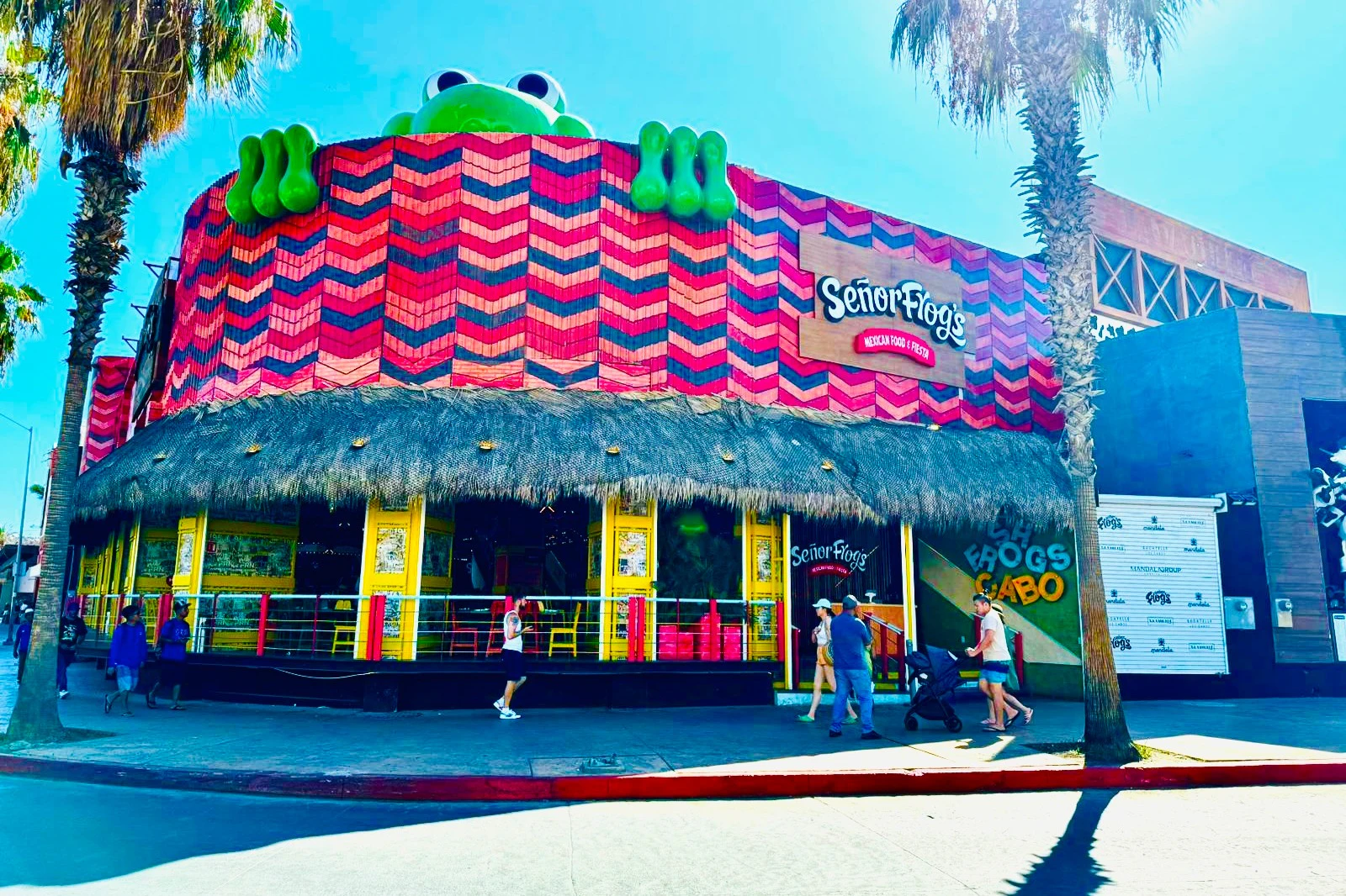 Señor Frog's Los Cabos: Frog's Pass