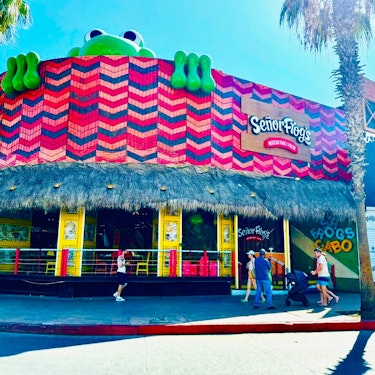 Señor Frog's-biljett med måltid i Los Cabos