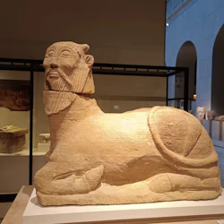 En snidad stenskulptur av en skäggig sfinx som visas i ett museum med andra artefakter synliga i bakgrunden.