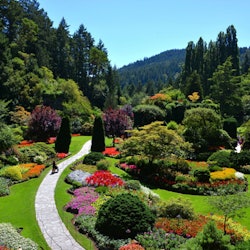 Tickets, museos, atracciones,Excursión a Jardines Butchart