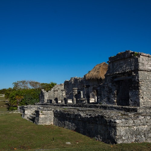 Tulum: Excursión a las Ruinas Mayas, Cenote, Snorkel y Aventura en la Jungla + Comida