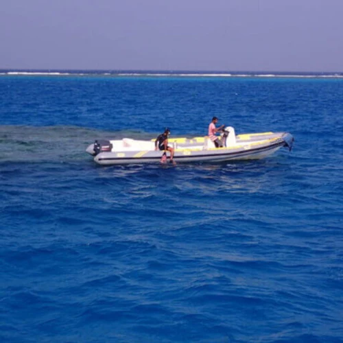 Marsa Alam: Overnight Stay at Sataya Dolphin House + Snorkeling - Photo 38