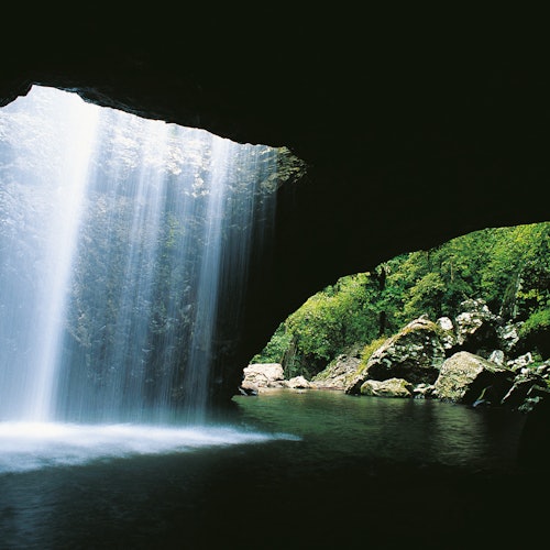 Natural Bridge & Springbrook Waterfalls Tour from Gold Coast