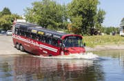 Amphibus pluskający się w rzece Ottawa.