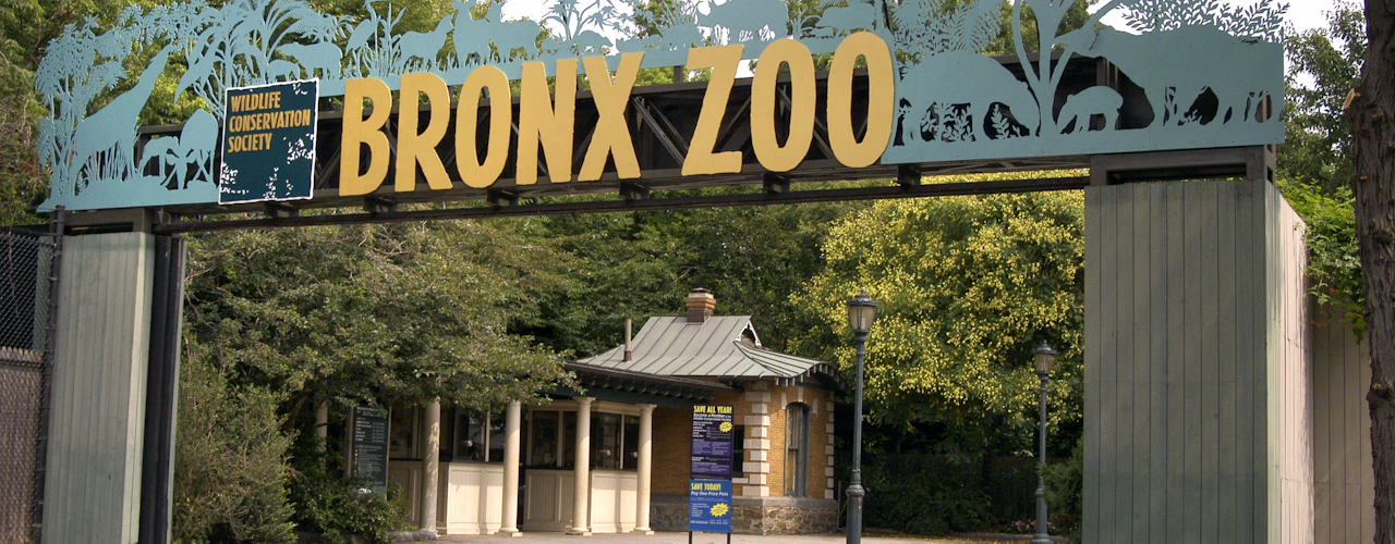 Bronx Zoo: Entry Ticket