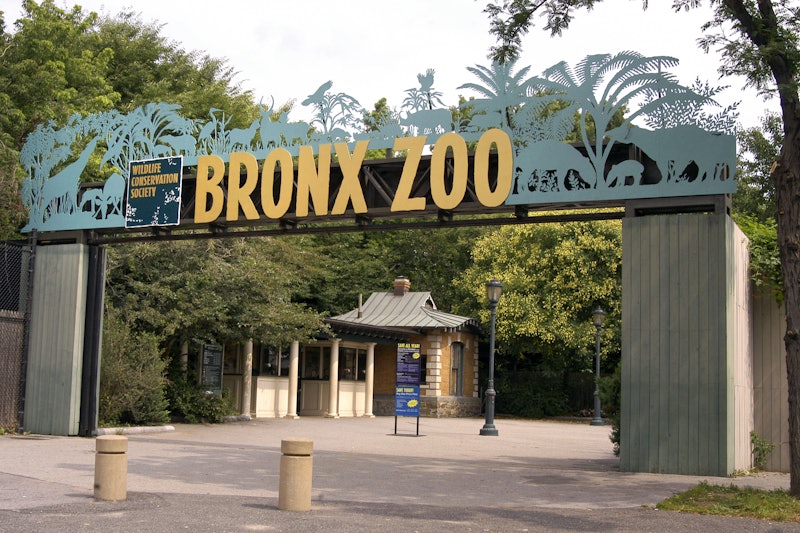 Bronx Zoo in Bronx, New York City