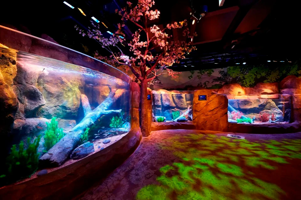 An indoor aquarium exhibit featuring large tanks with aquatic plants and rocks, and a decorative tree under dim lighting.