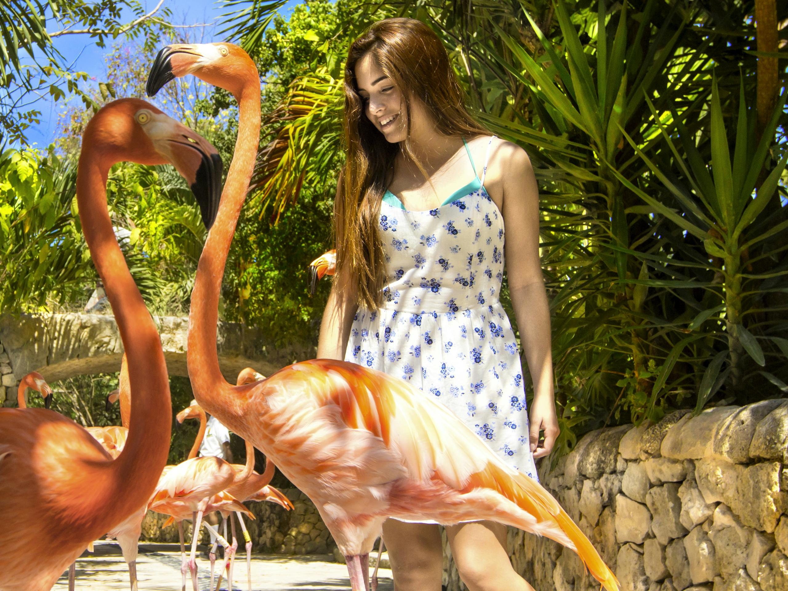 Природные тропы