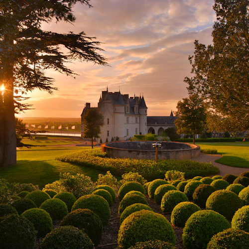 Château d'Amboise: Skip The Line Ticket