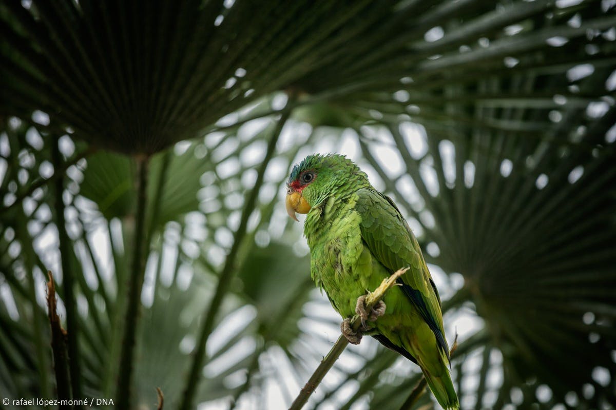 Marianao Aviary、Sama Park、Cambrils
