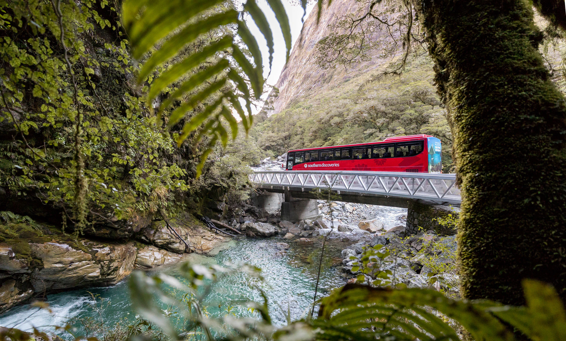 Milford Sound: Full-Day Tour from Te Anau