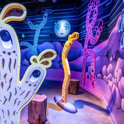 Meow Wolf Houston: Bilhete de entrada para o Radio Tave - Photo 2