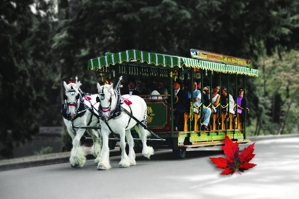 Stanley Park Horse-drawn Carriage Tours
