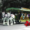 Stanley Park Horse-drawn Carriage Tours