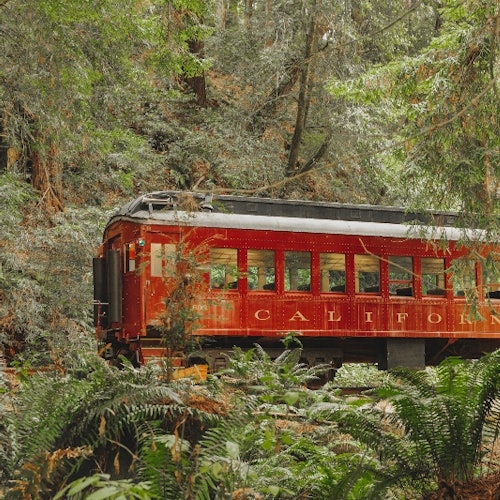 Skunk Train: Wolf Tree Turn