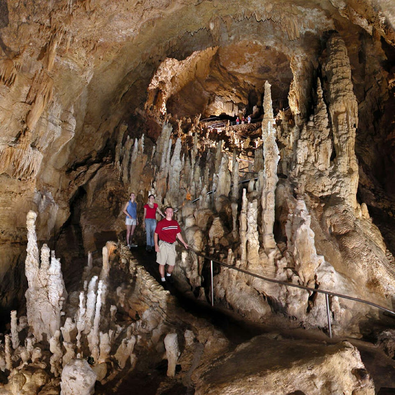 Natural Bridge Caverns: Circuitos de cuerda y tirolesas Twisted Trails - Alojamientos en San Antonio
