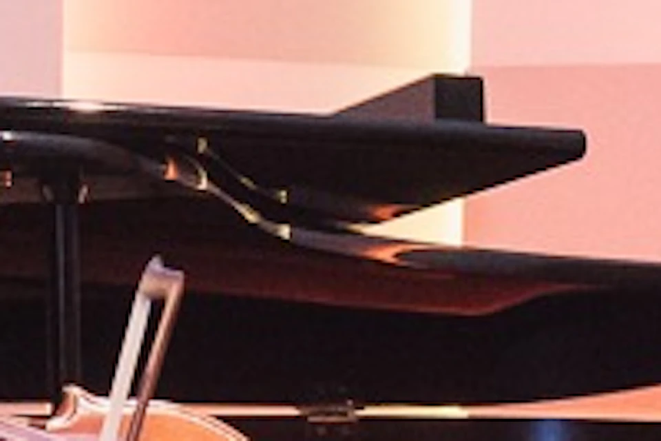Our musicians performing