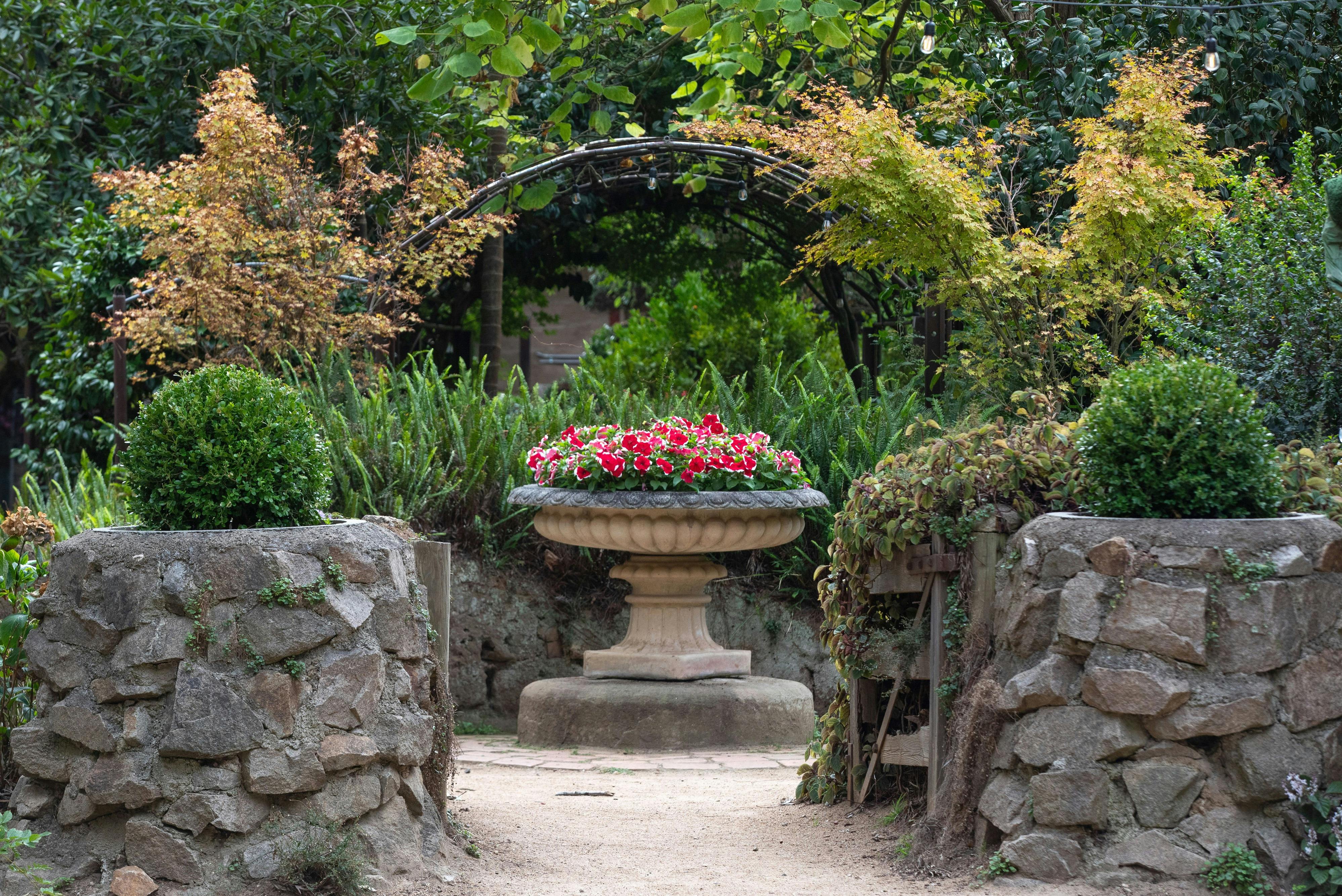 <City 60426> things to do #3: Ashcombe Maze & Lavender Gardens