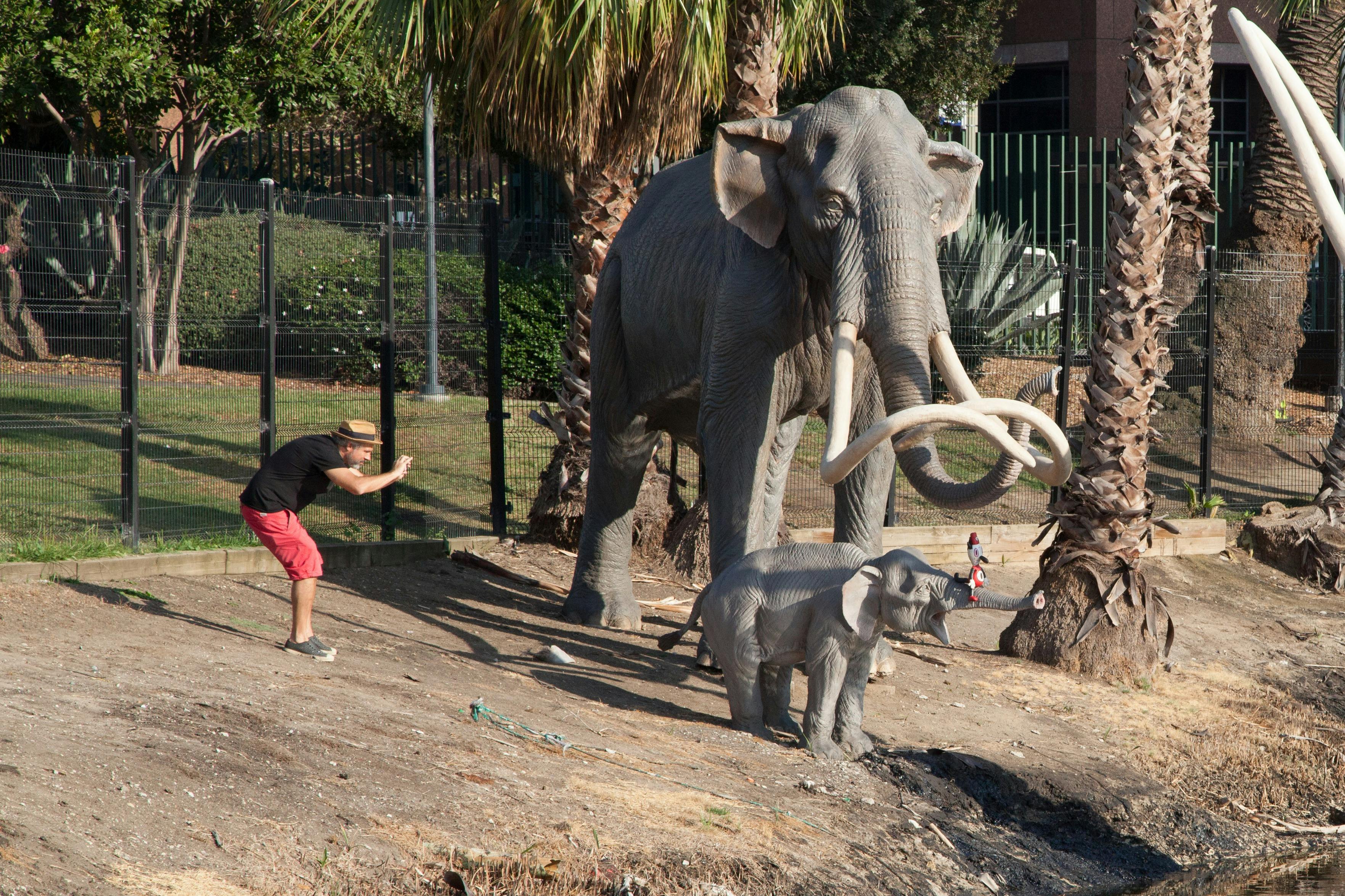La Brea Tar Pits and Museum: Guided Insider Tour - Photo 4