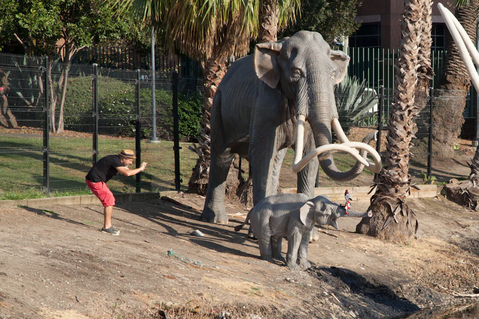 A person poses near life-sized elephant statues in an outdoor setting with palm trees and a fence in the background.