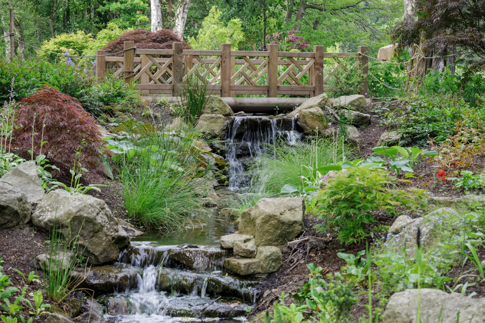 Stream side
