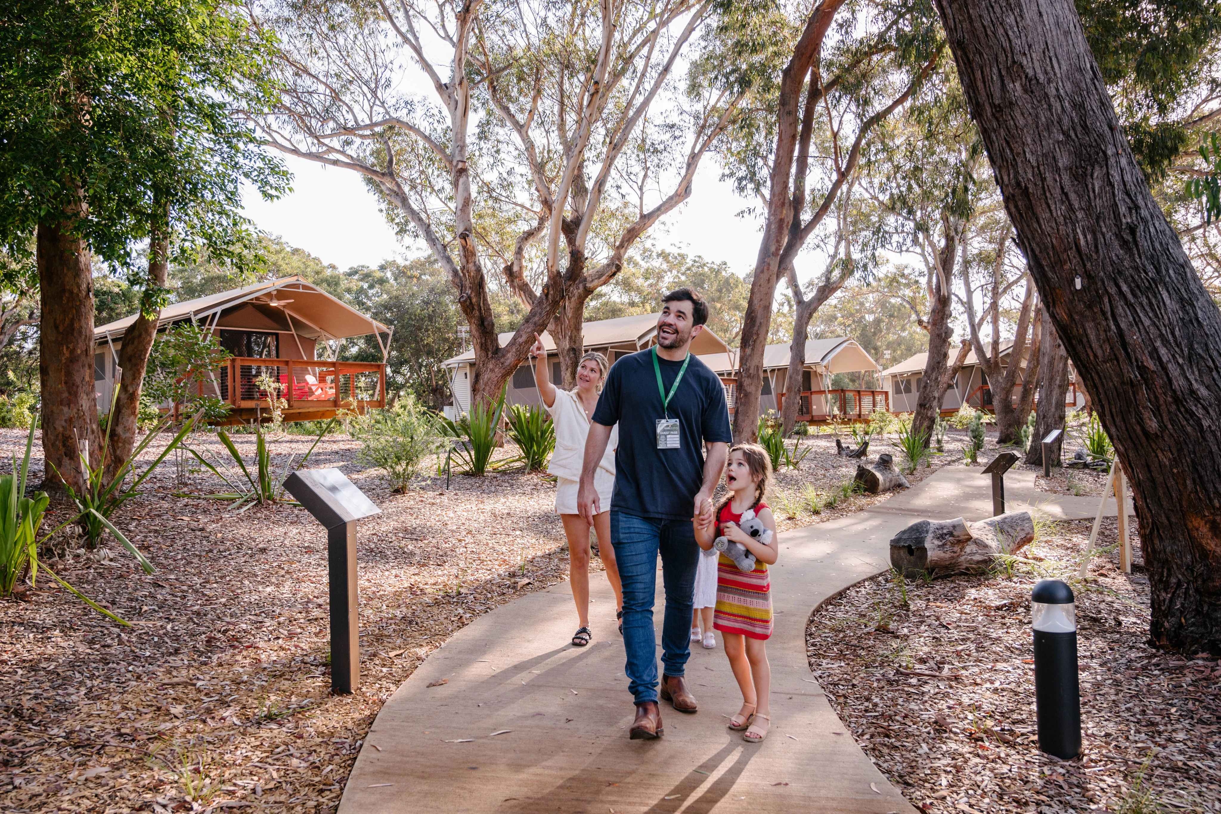 Port Stephens Koala Sanctuary