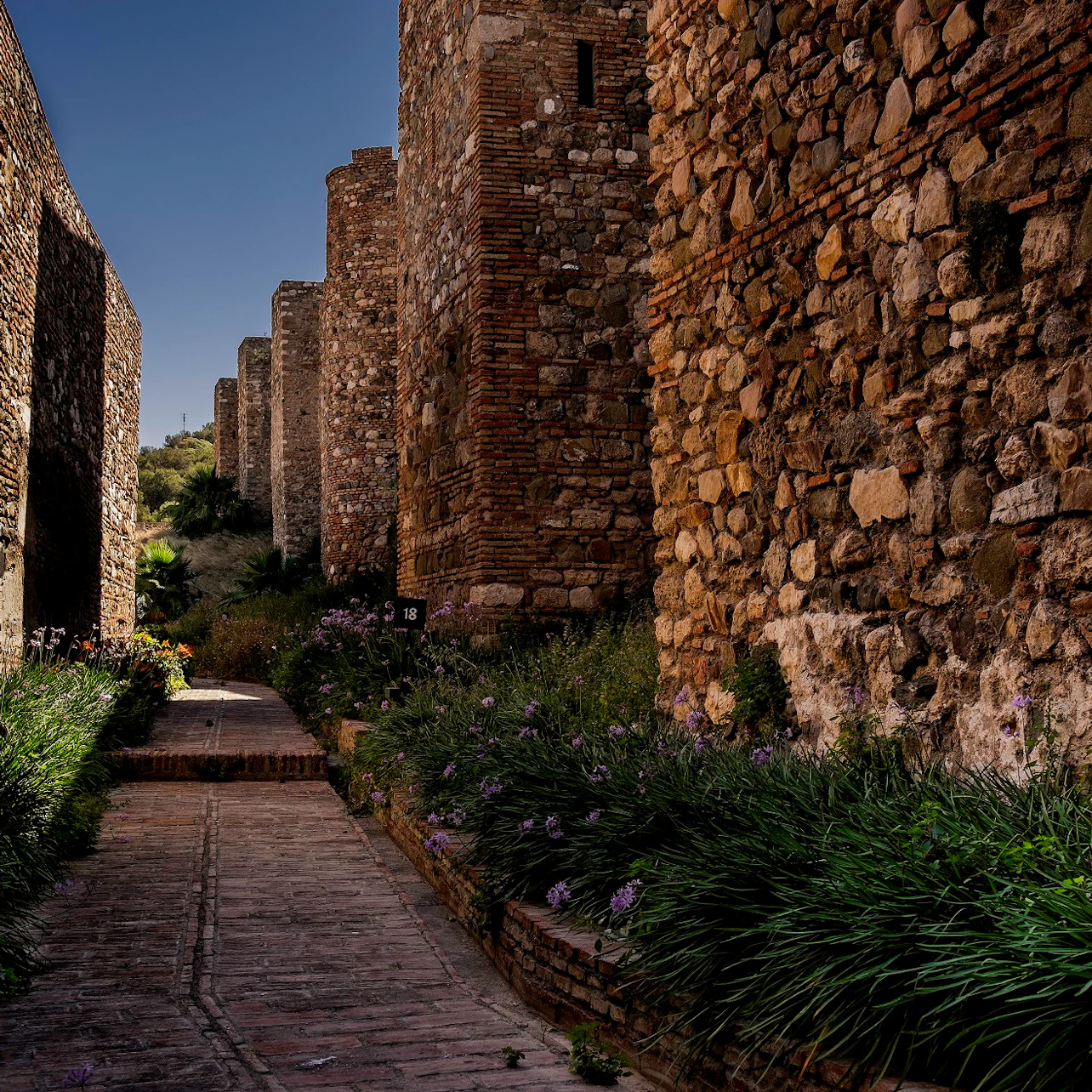 Stone pathway flanked by high, ancient stone walls and green plants with purple flowers under a clear, darkening sky.
