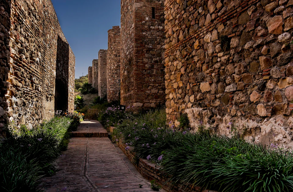 Stone pathway flanked by high, ancient stone walls and green plants with purple flowers under a clear, darkening sky.