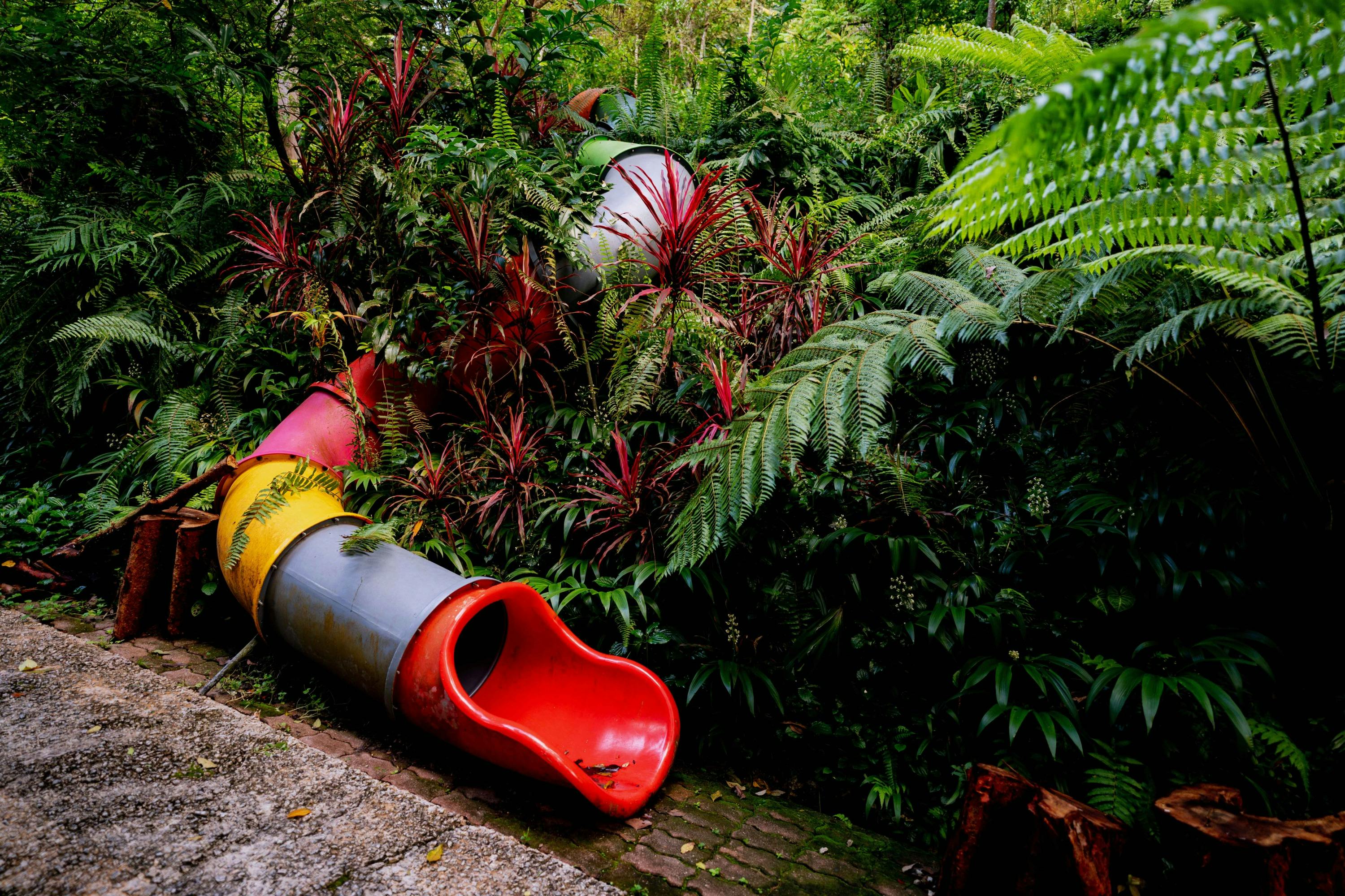 A multicolored playground slide entwined with dense tropical foliage in an outdoor setting.