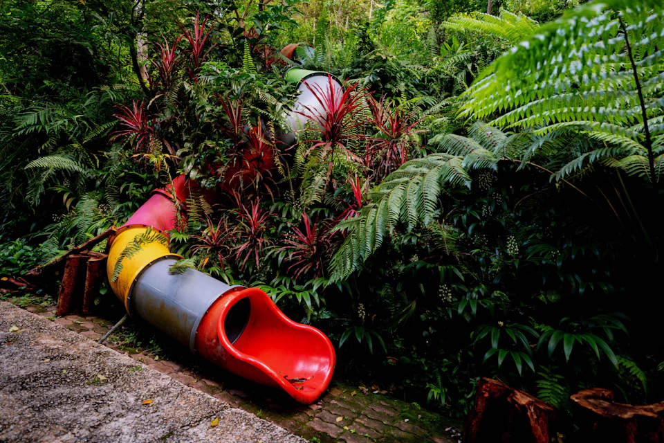 A multicolored playground slide entwined with dense tropical foliage in an outdoor setting.