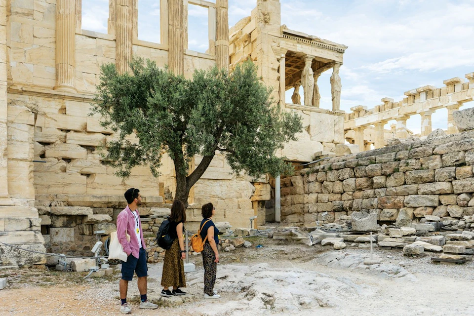 Admiring the Olive Tree right beneath the Erechtheion