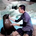 棕榈岛亚特兰蒂斯酒店--带兽医的海狮