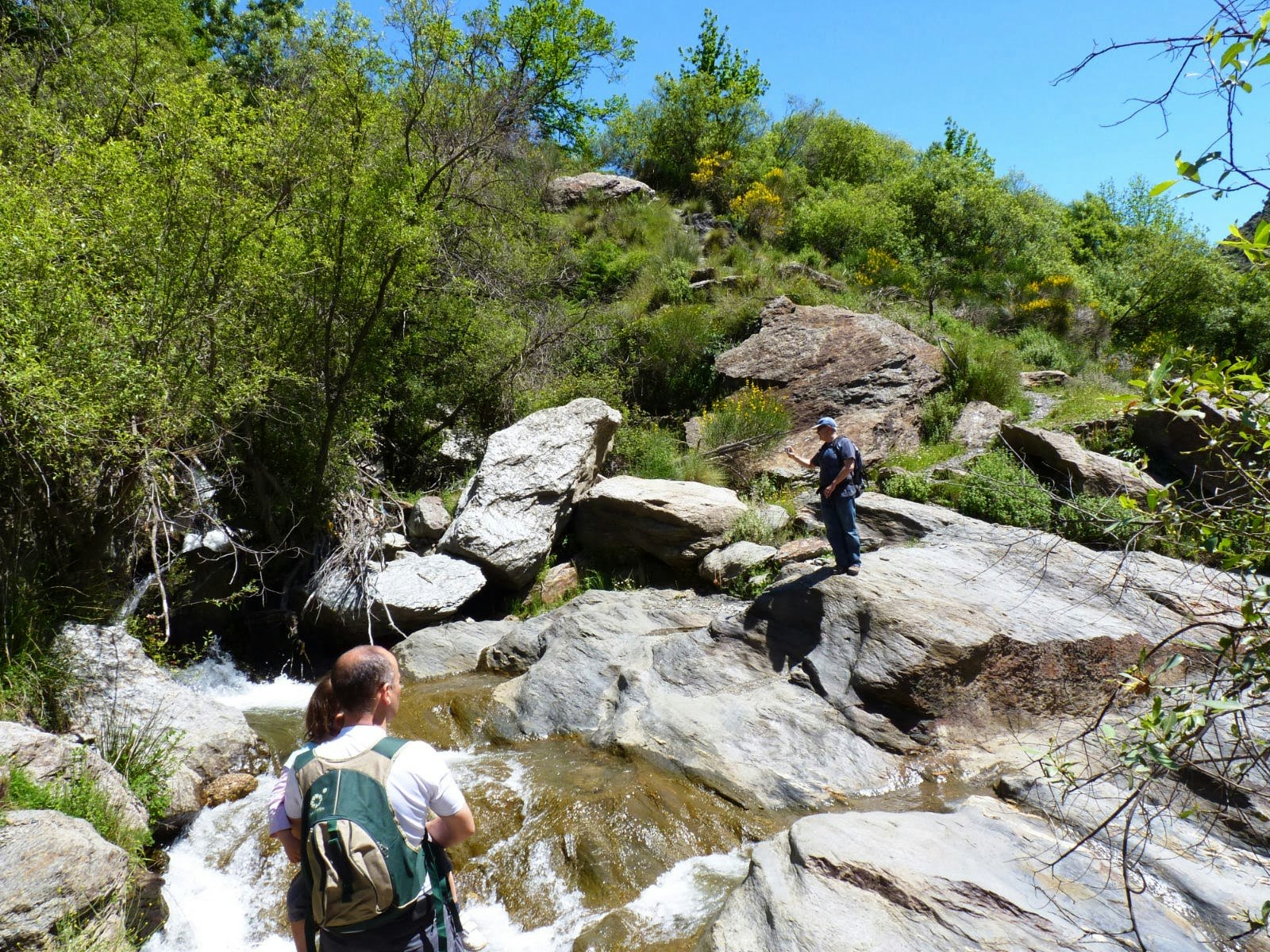 Sierra Nevada: Guided Tour from Granada