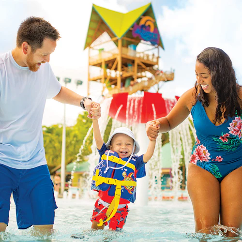 SeaWorld Orlando: passe para vários parques + refeições gratuitas - Photo 7