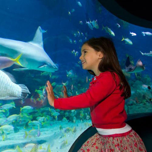 SEA LIFE Sydney Aquarium: Entry Ticket