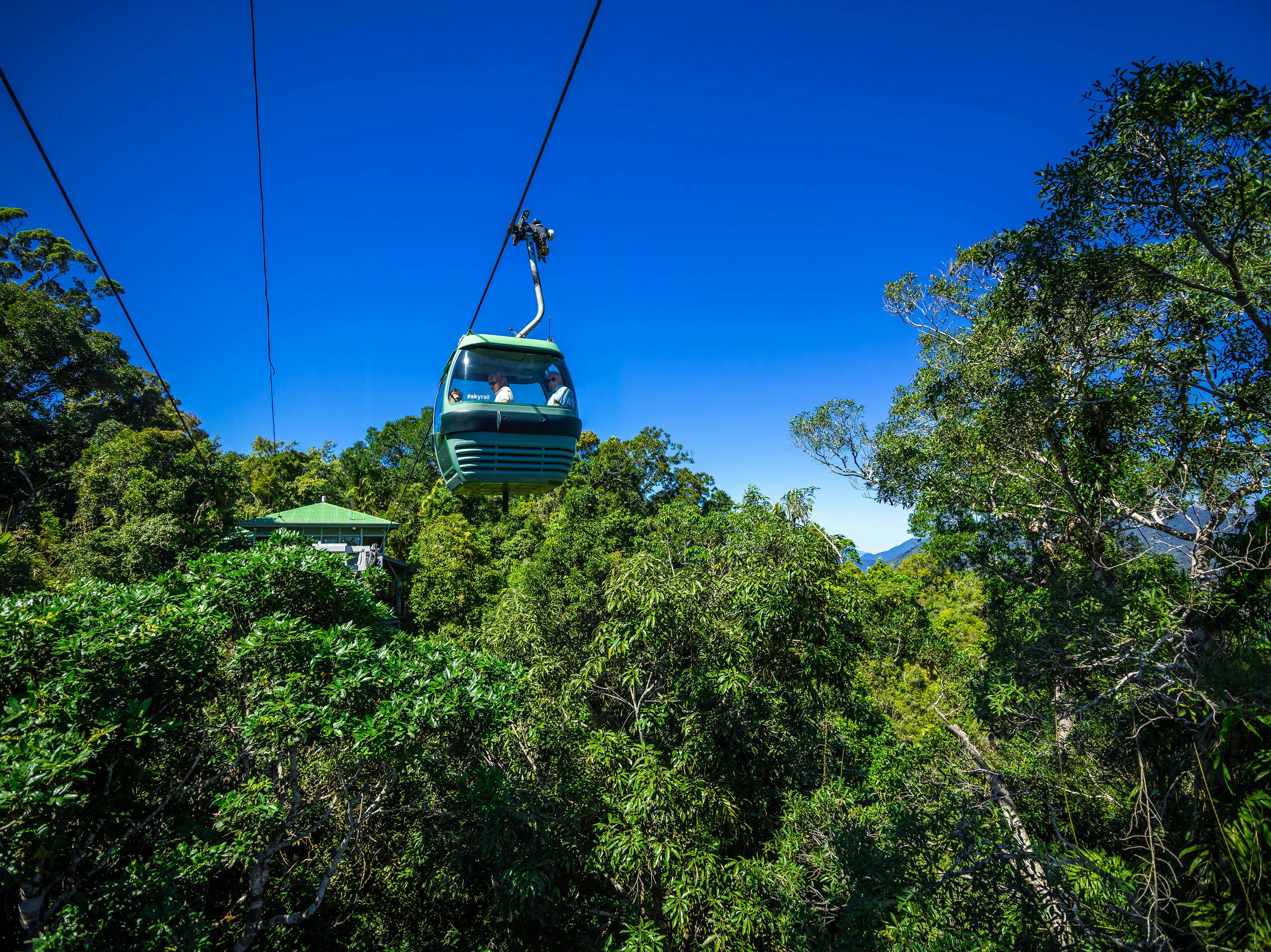 A green cable car travels over dense forest, with a clear blue sky and distant mountains in the background.