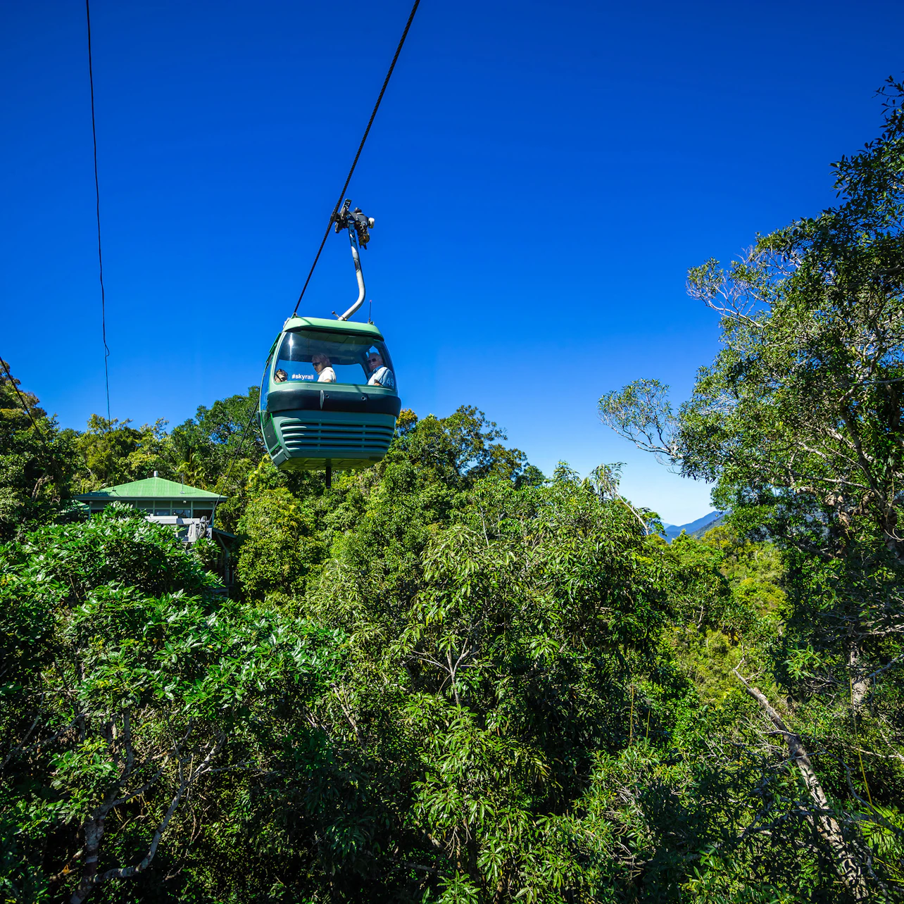 A green cable car travels over dense forest, with a clear blue sky and distant mountains in the background.