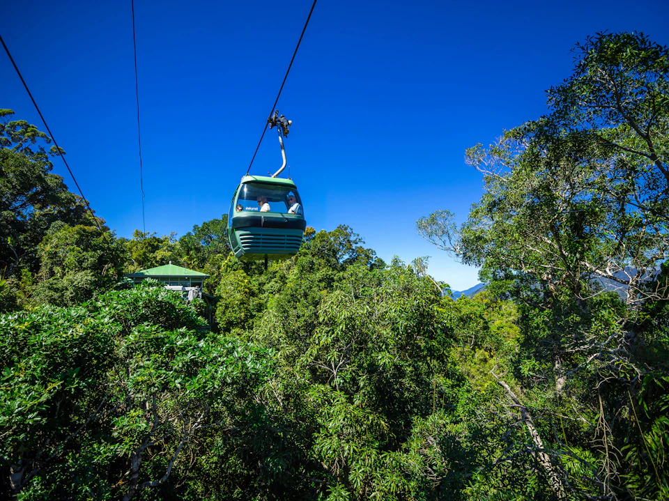 A green cable car travels over dense forest, with a clear blue sky and distant mountains in the background.