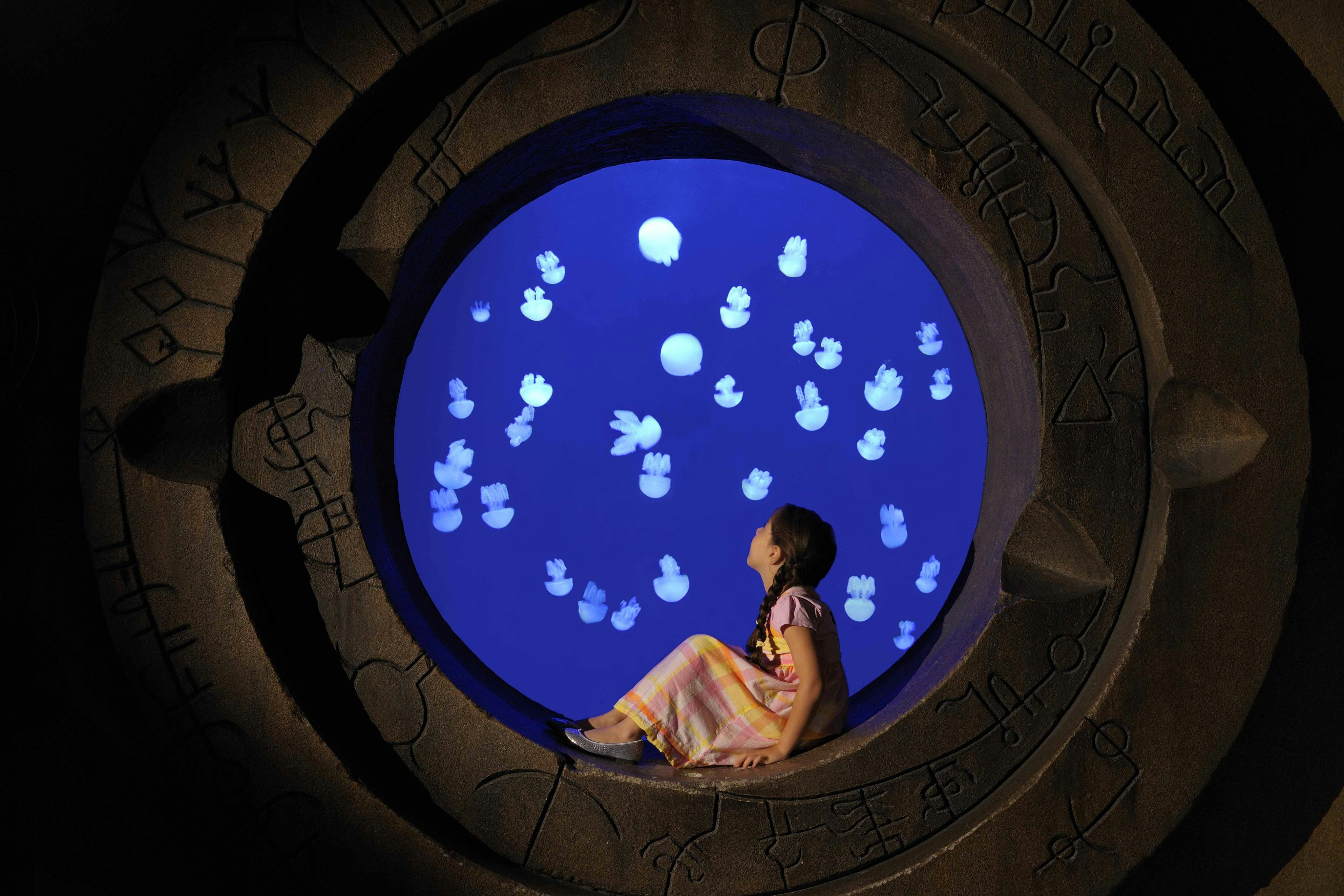 The Lost Chamber Aquarium