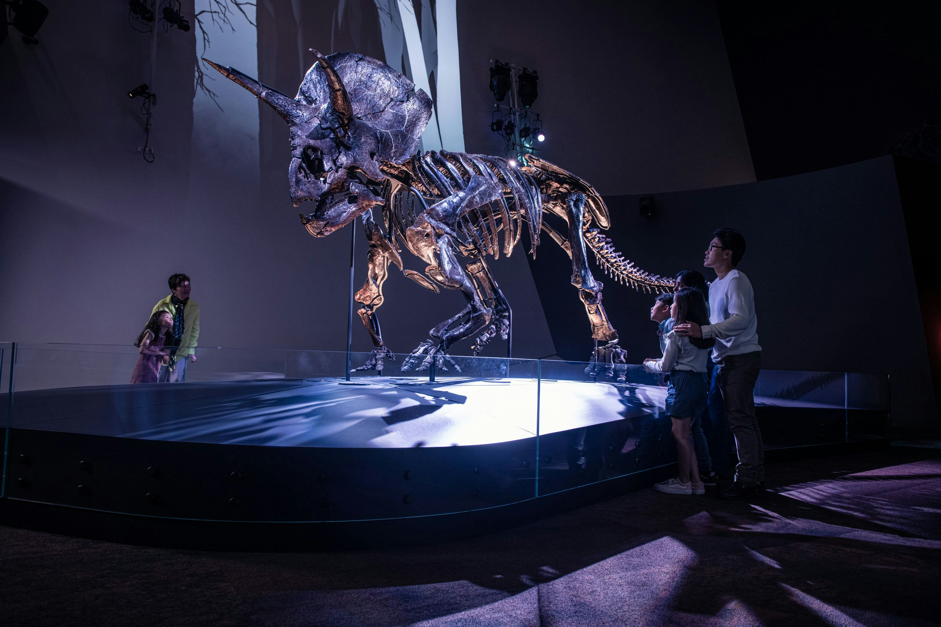 Museu de Melbourne: bilhete de entrada