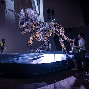 Biljetter till Melbourne Museum