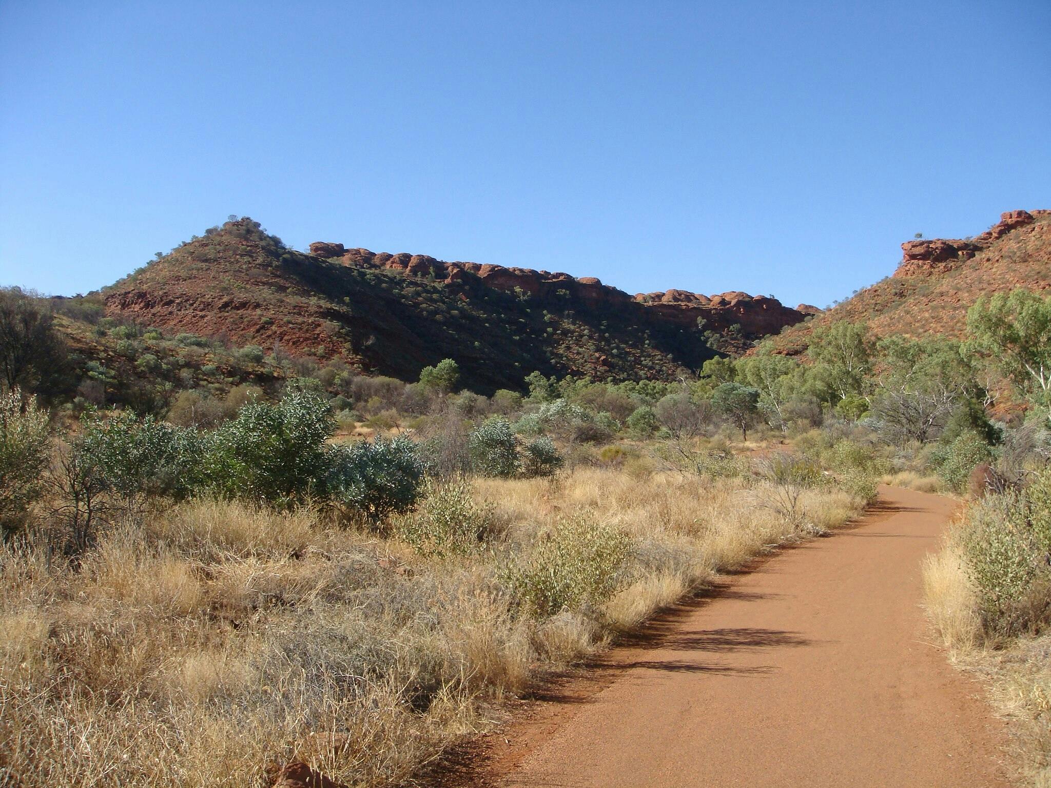 Desert path leading through dry grass and shrubby vegetation towards red rocky hills under a clear blue sky.