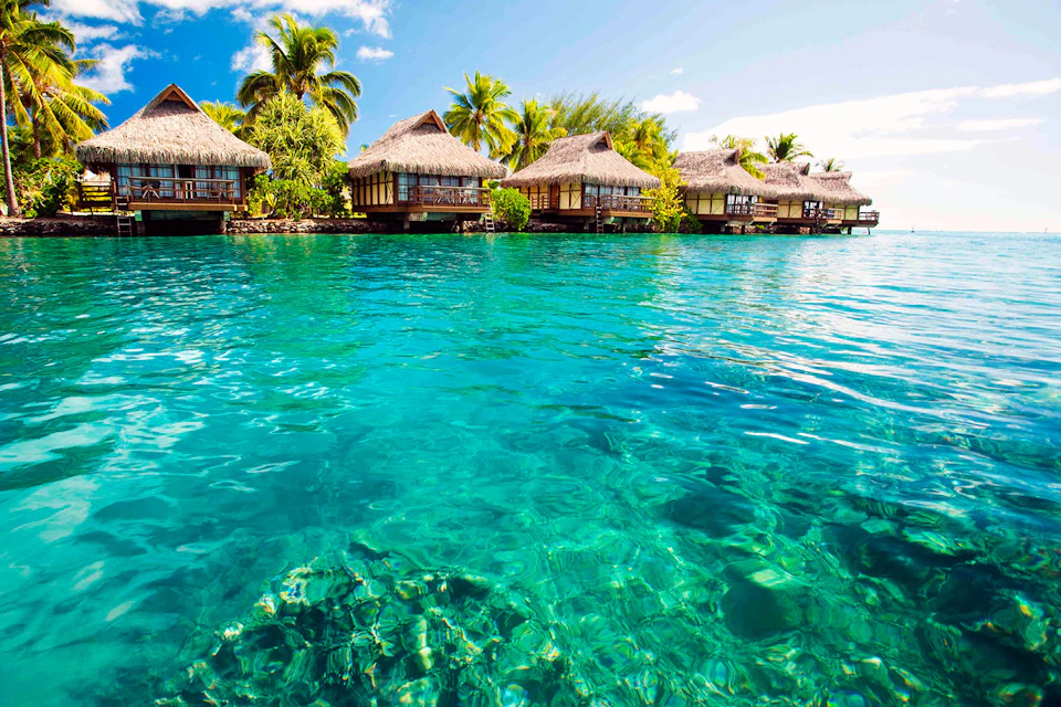 Thatched overwater bungalows sit on a clear turquoise lagoon surrounded by lush tropical palm trees under a bright blue sky.