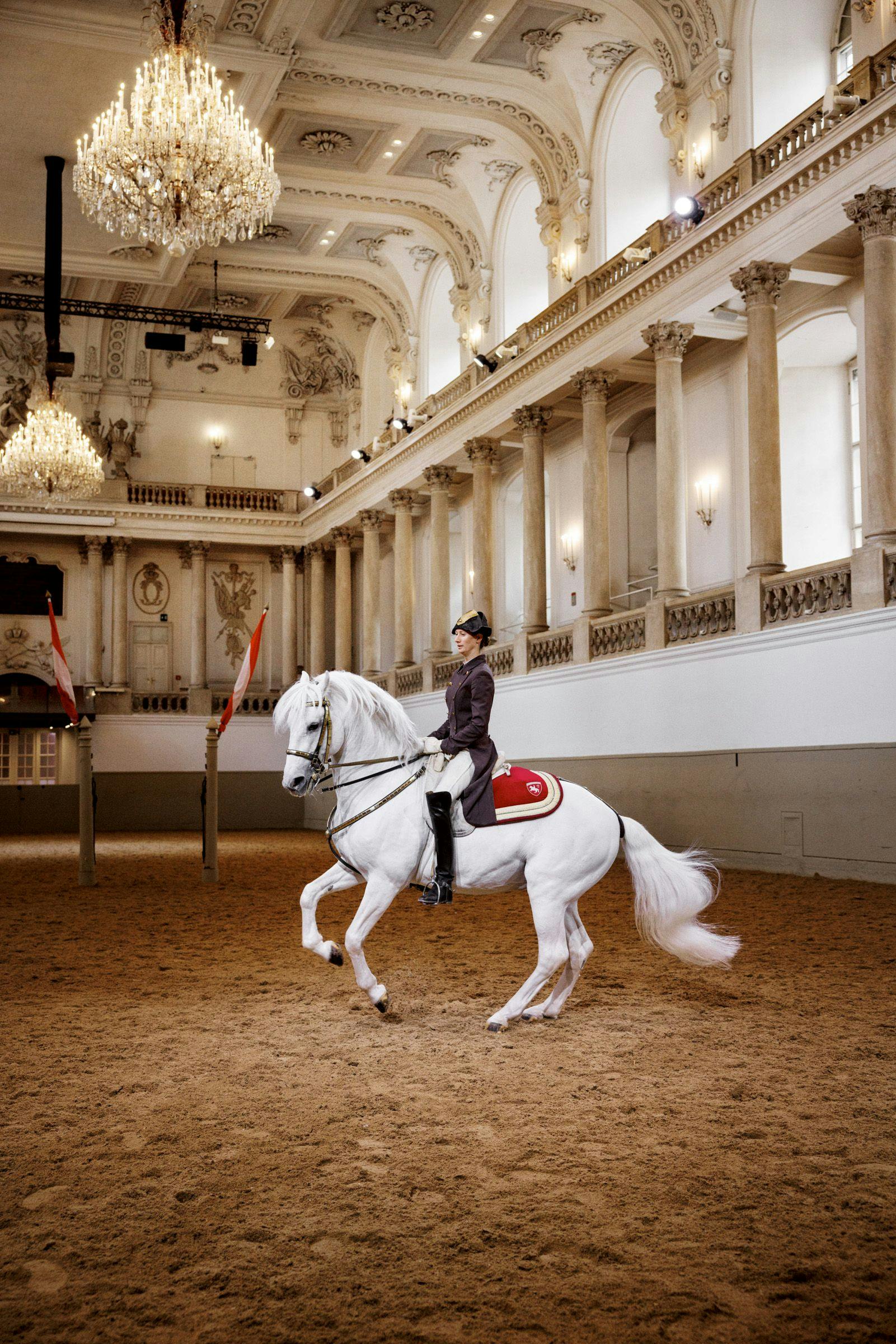 A person rides a white horse inside an ornate indoor arena with chandeliers, columns, and red accents.