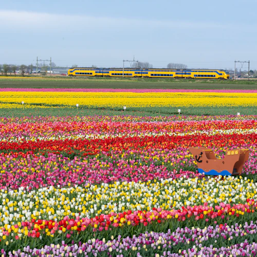 The Tulip Barn: Entry Ticket - Photo 11
